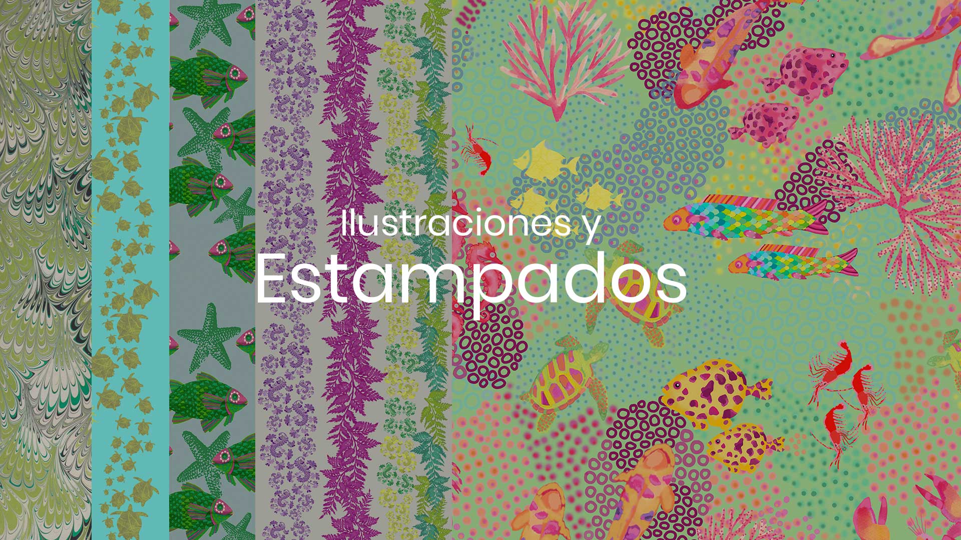 banner-ilustraciones